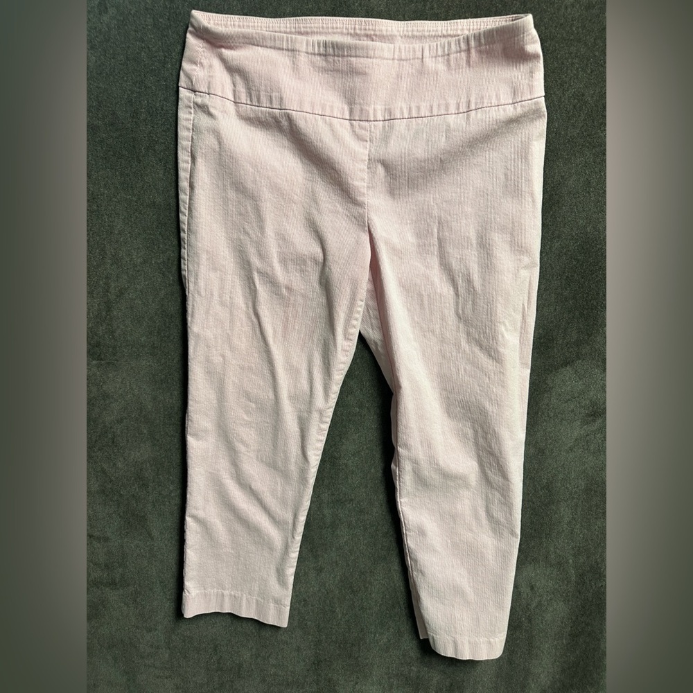 Crown & Ivy Pink Stripe Pull-On Pants Petite 4P Ankle Stretch